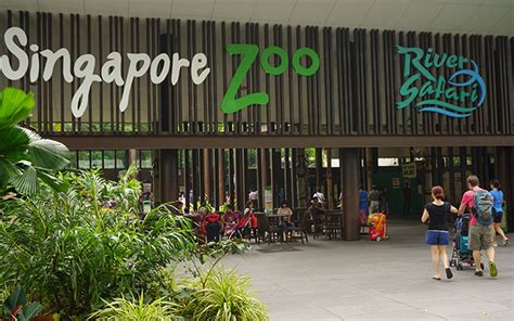 singapore zoo timings